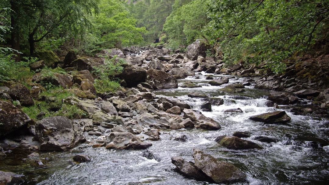 the gorge
